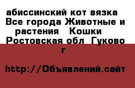 абиссинский кот вязка - Все города Животные и растения » Кошки   . Ростовская обл.,Гуково г.